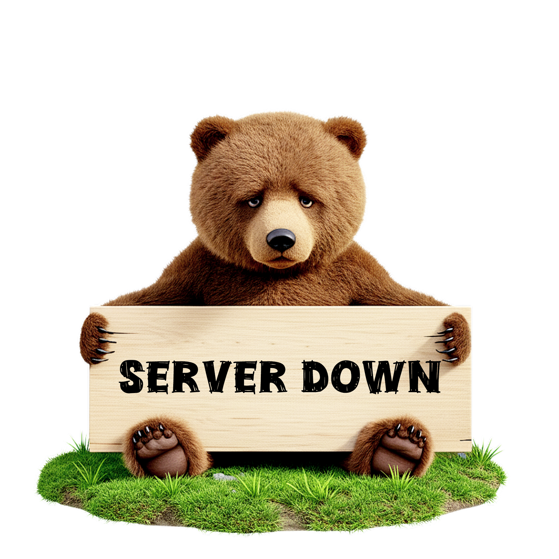 Sad Bear
